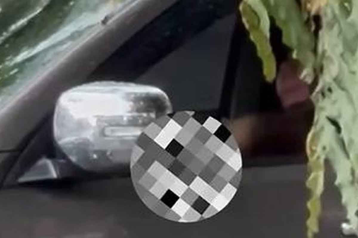 Viral! Pengemudi Pajero Sport di Kota Malang Terekam Kamera Berbuat Tak Senonoh