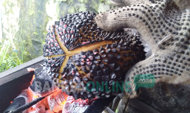 Proses bakar durian.