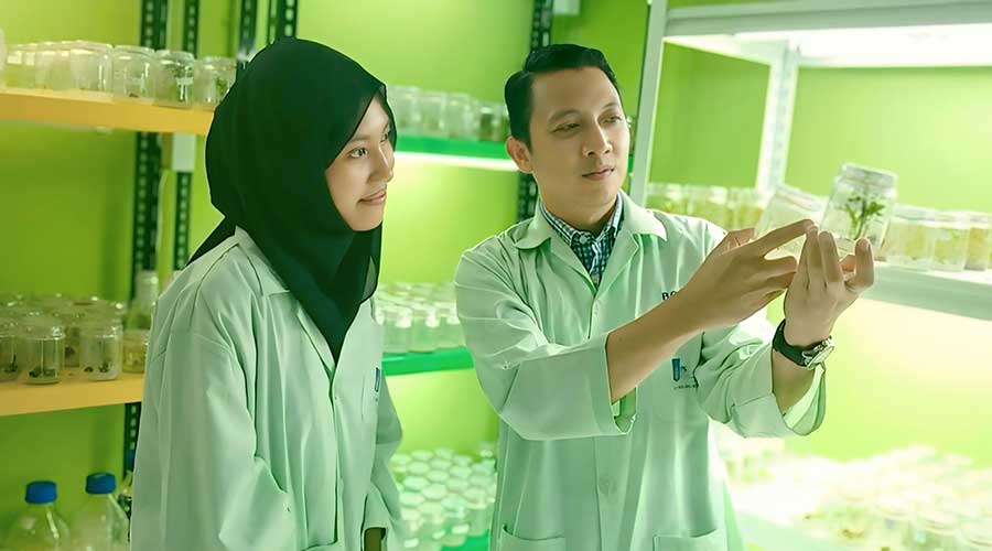 Nurul Jadid (kanan) ketika memberikan pemahaman terkait kultur jaringan tanaman kepada mahasiswanya. (Ist)