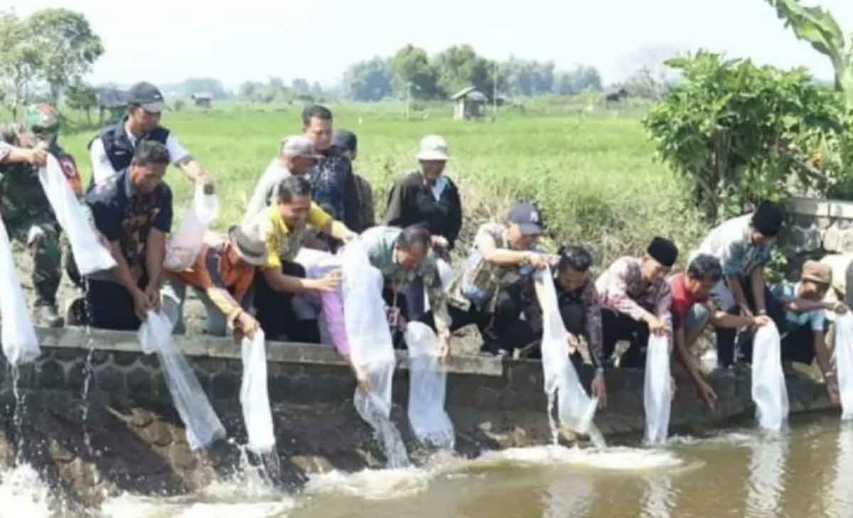 Jaga Ekosistem Sungai, Pemkab Bangkalan Tebar Puluhan Ribu Bibit Ikan