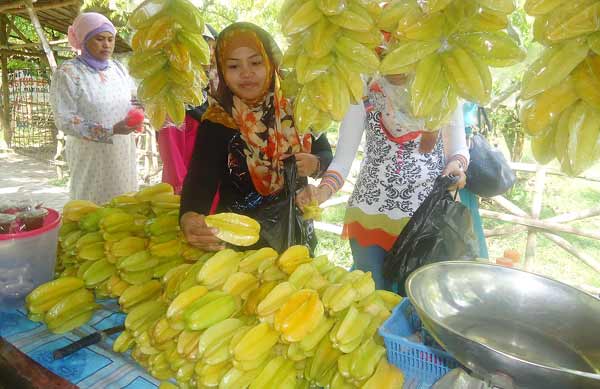 SEGAR. Buah belimbing di agrowisata Ngeringinrejo yang tampak segar. (foto: eky nurhadi/BANGSAONLINE)