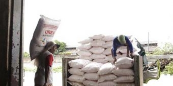 Satreskrim Polres Tuban Ungkap Kasus Dugaan Penyelewengan Pupuk Subsidi di Bancar