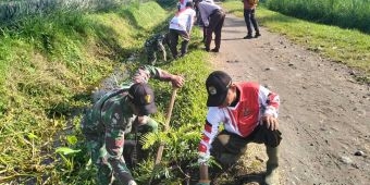 TMMD ke-127: Kodim Kediri Gelar Penghijauan di Cagar Alam Gadungan