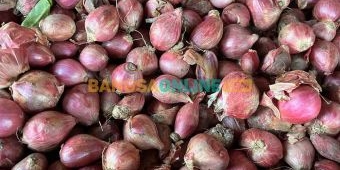 Harga Sembako Surabaya Hari Ini: Bawang Merah Rp48.500/kg, Beras Medium Rp13.350/kg