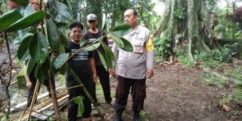 EPPI Kediri dan Pemdes Padangan, Gelar Aksi Tanam Pohon di Bantaran Sungai