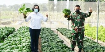 Sinergi Petrokimia, TNI AD, dan Pemkab Gresik Melalui Demplot Dambaan Mampu Tingkatkan Hasil Panen