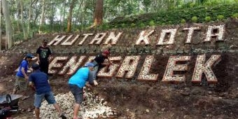 Disebut Tak Hasilkan PAD, Ketua Kompi Hutan Kota Tantang Komisi II DPRD Trenggalek Gelar Hearing