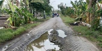 Jalan Rusak Parah, Kades Ngampel Desak Pemkab Gresik Segera Lakukan Perbaikan