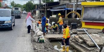 Tangani Banjir, DCKPKP Gresik Bongkar Saluran Air di Wilayah Giri dan PPS