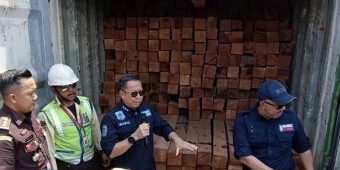 Puluhan Kontainer Berisi Kayu Ilegal di Surabaya Diamankan KLHK