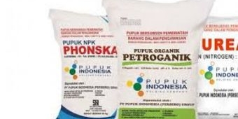 ​Pupuk Bersubsidi Menyusut, Kabupaten Probolinggo Hanya Kebagian 90.997 Ton