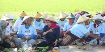 Akrab dan Merakyat, Momen Khofifah Matun Bersama Petani di Ngawi