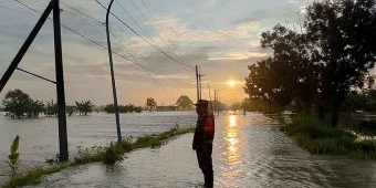 Kali Lamong Meluap, 7 Desa di Balongpanggang Gresik Terendam