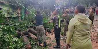 Cuaca Ekstrem, Polres Mojokerto Kota Bantu Bantu Evakuasi Pohon Tumbang