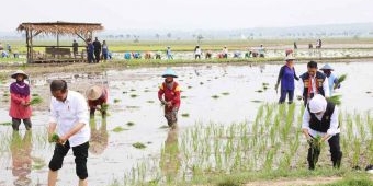 Jaga Produktivitas, Gubernur Khofifah Komitmen Dorong Percepatan Masa Tanam Padi