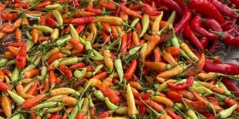 Harga Cabai di Surabaya Hari Ini Merosot