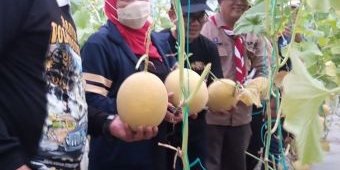 Gubernur Khofifah Hadiri Panen Melon Karya Adik-Adik Pramuka di Edupark Ngrowo Bening