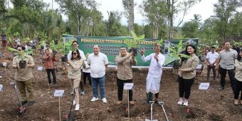 Wamen ATR/BPN Tanam Pisang di Jembrana, Wujud Penataan Akses Tanah Ulayat Pertama di Indonesia