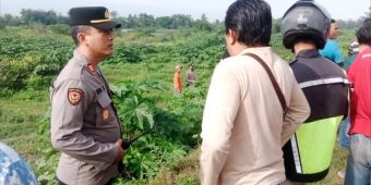 Mayat Pria Paruh Baya Ditemukan di Semak Belukar Desa Tarik Kidul Sidoarjo