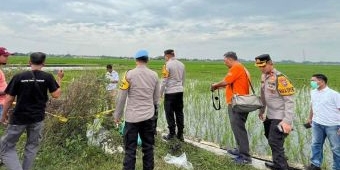 Mayat Tanpa Kepala di Sawah Gegerkan Warga Jombang