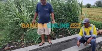 Upayakan Tercukupi Air di Sawah, Petani Desa Pilangrejo Madiun Garap Irigasi