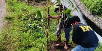 Relawan Peduli Lingkungan Gelar Aksi Tanam Pohon di Dam Kunir Kediri