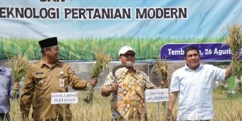 Program Bapak Asuh Dorong Pertanian Organik dan Efisiensi Produksi di Jombang