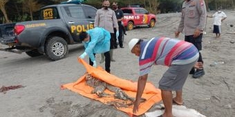 Jasad Tinggal Tulang Belulang Ditemukan di Pantai Jolosutro Blitar, Pakaian Masih Lengkap