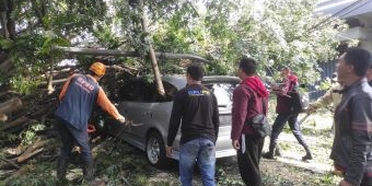 Sempadan Sungai Curah Banteng di Kota Batu Longsor, Randu Tumbang Timpa Mobil