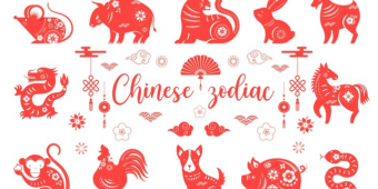 Ramalan Shio Minggu 17 September 2023: Anjing Sialan Nih! Babi Dihargai karena Empati