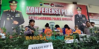 Polisi Ringkus Pasutri Otak dan Pemodal Penanaman Ganja di Greenhouse Jombang