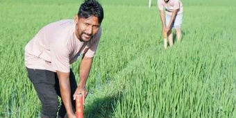 Kementerian ATR/BPN Dorong Badan Bank Tanah Kembangkan Reforma Agraria untuk Ketahanan Pangan