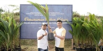 Dukung Ketahanan Pangan Nasional, Imigrasi Kediri Tanam 200 Bibit Kelapa di Grogol