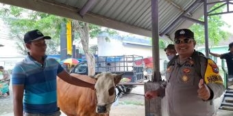 Jelang Iduladha, Harga Sapi Kurban di Pasar Tikung Lamongan Naik hingga Rp3 Juta