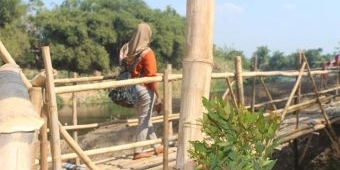 Jadi Tempat Swafoto para ABG, Begini Asal Usul Nama Taman Bojo Ketikung
