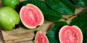 5 Manfaat Air Rebusan Daun Jambu Biji