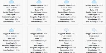 Cuaca Blitar Hari ini Rabu, 22 Januari 2025: Sore Hingga Malam Hujan Ringan