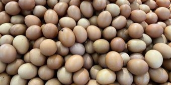 Harga Sembako Jatim Senin 19 Mei 2025: Telur Rp25.767/kg, Minyak Curah Rp18.700/kg