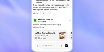 ChatGPT Gratis Muncul Iklan, Uji Coba di Amerika Serikat