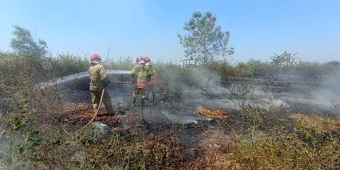 Musim Kemarau, BPBD Bojonegoro Imbau Warga Waspada Karhutla