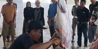 Tinjau RPH, Wali Kota Kediri Pastikan Daging Kurban yang Didistribusikan Bebas dari Cacing Hati