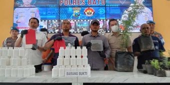 Budi Daya Ganja Sejak 2019, Seorang Sarjana Pertanian Ditangkap Polres Batu