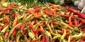 Update Daftar Harga Lengkap Sembako Jatim Jumat 10 April 2026: Cabai Rawit Turun Rp1 Ribu