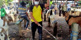 Putus Rantai Penyebaran PMK, DKPP Kota Kediri Lakukan Penyemprotan Disinfektan di Pasar Hewan