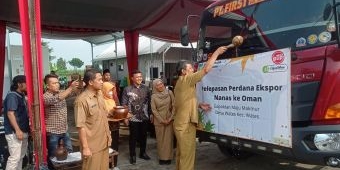 Nanas Kediri Diekspor ke Oman, Dhito Berharap Buka Peluang untuk Produk Hortikultura Lainnya