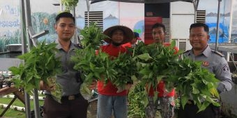 Tingkatkan Kemandirian dan Keterampilan WBP, Lasdaun Panen Kangkung