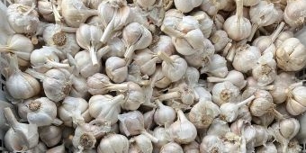 Harga Sembako Surabaya 18 Mei 2025, Bawang Putih dan Cabai Rawit Naik Tipis
