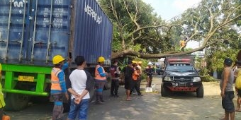 ​Diduga Ngantuk, Truk Kontainer Tabrak Pohon di Jombang, Lima Warung Rusak