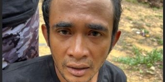 Buron Setahun, Otak Pembunuhan Wardatun Toyibah Ditangkap Polres Gresik di Hutan Sawit Kalimantan