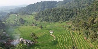 Buka GTRA Jatim, Dirjen Agraria Sampaikan Peran Reforma Agraria dalam Mendukung Asta Cita